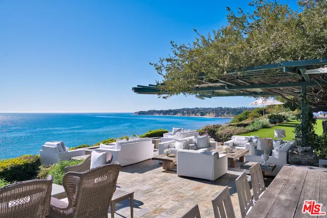 a view of a patio with couches chairs potted plants and a yard