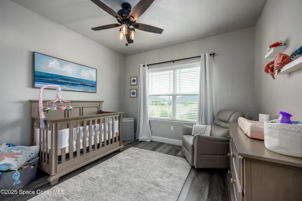 a view of a yard in front of a house with plants and large tree