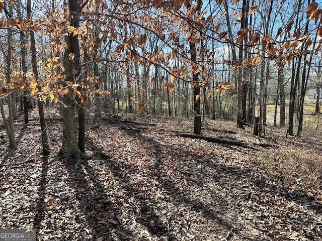 0 Brad Street Royston, GA 30662 - Photo 1 of 1 a view of outdoor space with tree s