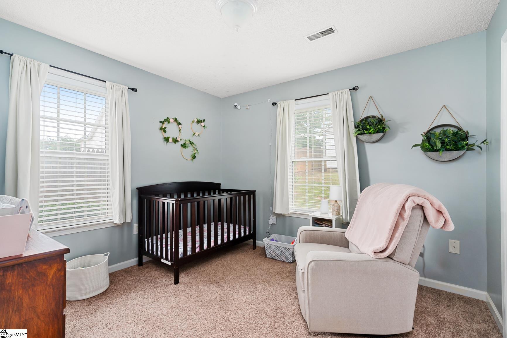 699 Meadow Ridge Road Easley, SC 29642 - Photo 16 of 24 Gallery Image 16