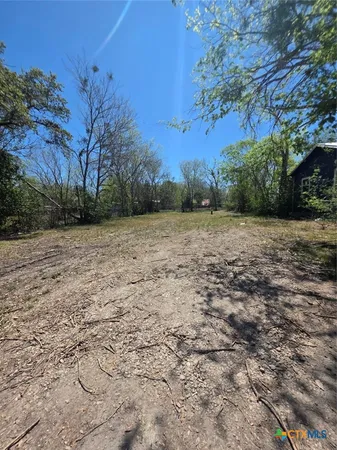 a view of a plants with trees