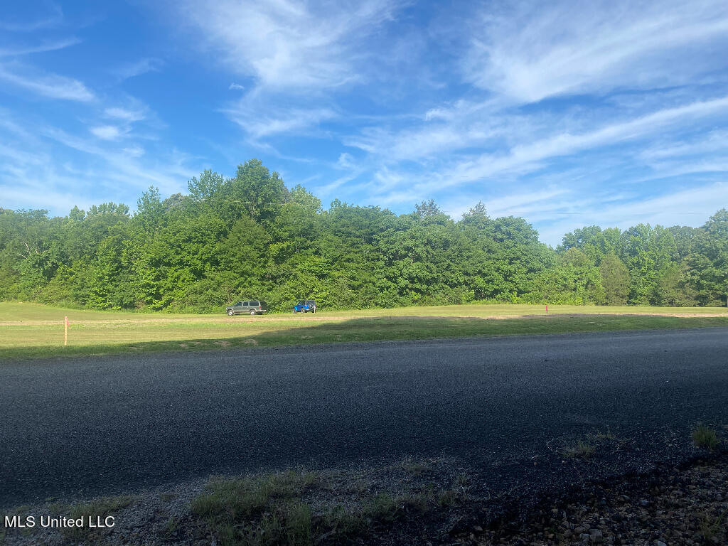710 Rowell Road Coldwater, MS 38618 - Photo 1 of 18 Vacant Lot