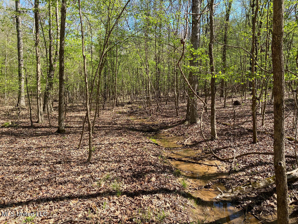 710 Rowell Road Coldwater, MS 38618 - Photo 11 of 18 10