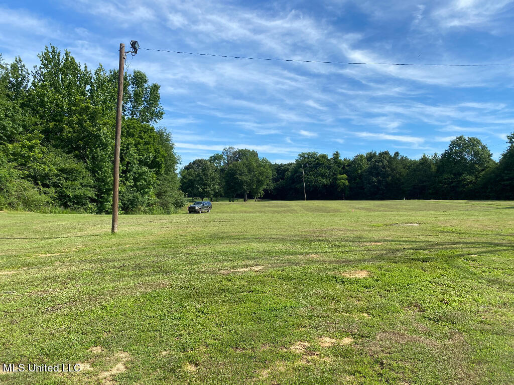 710 Rowell Road Coldwater, MS 38618 - Photo 2 of 18 01