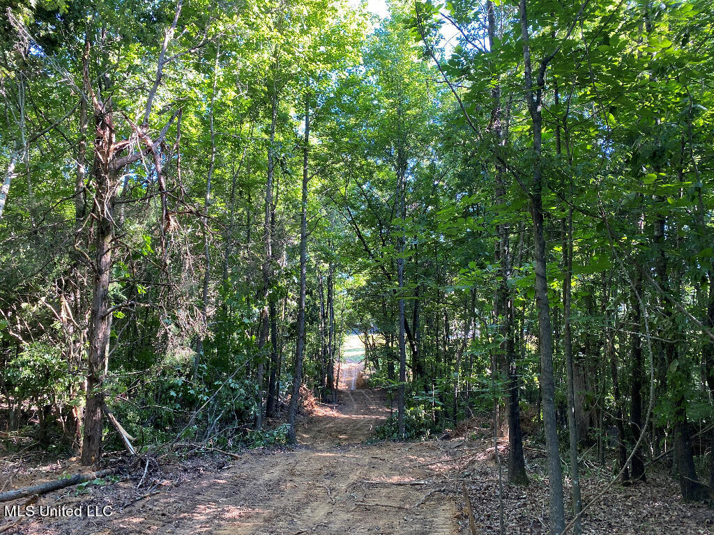 710 Rowell Road Coldwater, MS 38618 - Photo 3 of 18 02
