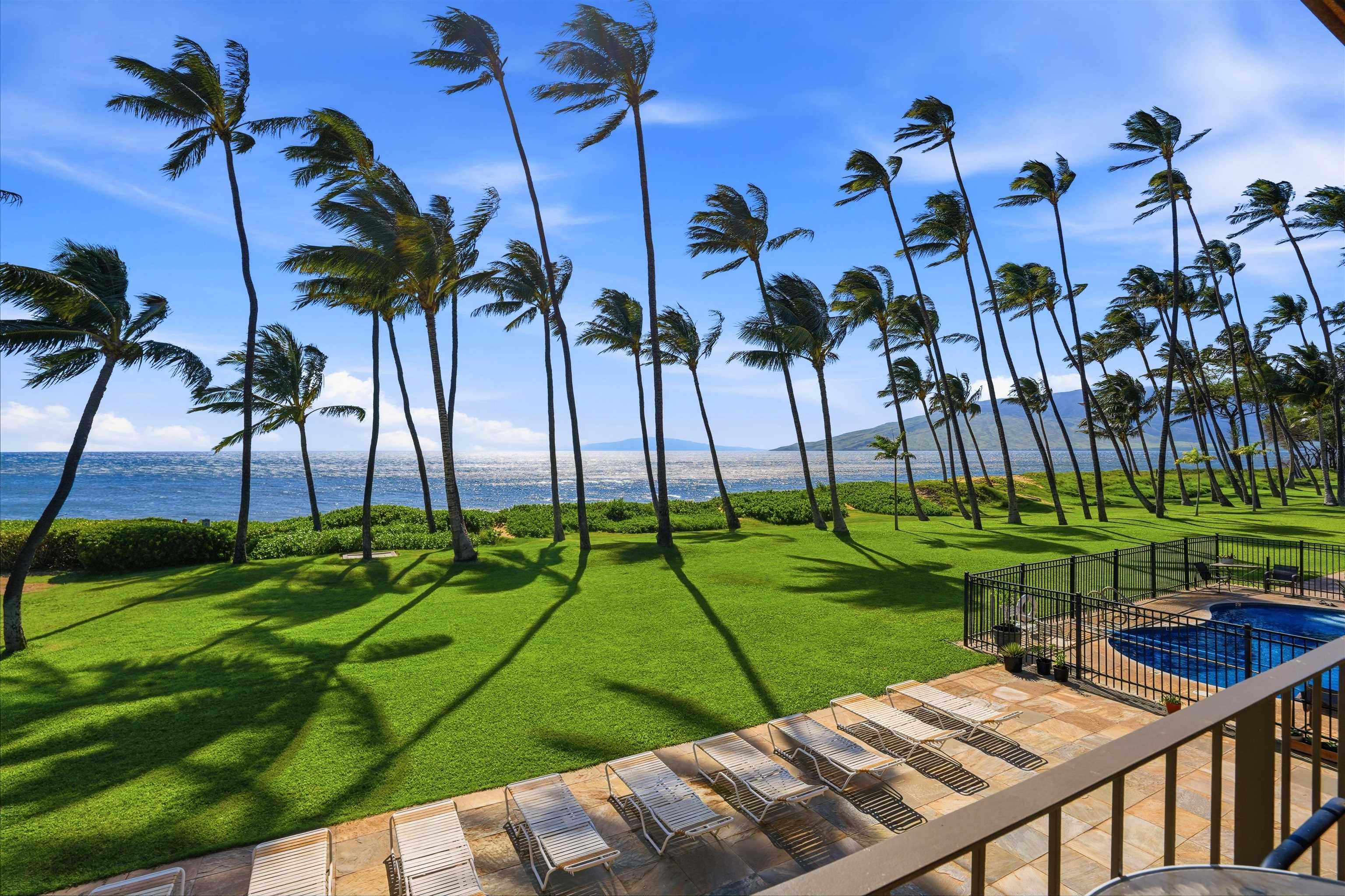 1310 Uluniu Road, Unit 202 Kihei, HI 96753 - Photo 18 of 39