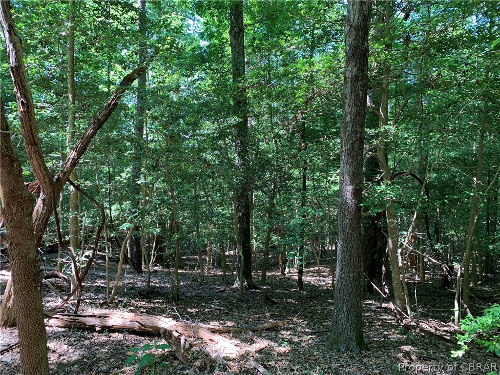 Lot 41 Wilton Creek Road Hartfield, VA 23071 - Photo 7 of 12 Natural Ravine - Gentle Slope