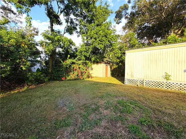 a view of backyard and trees