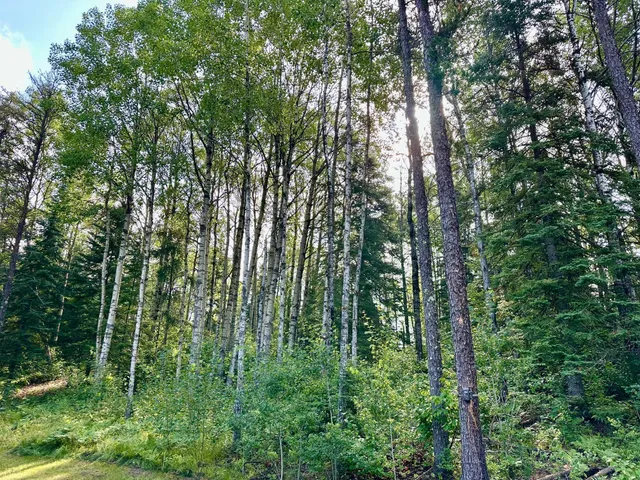 $359,900 | 21761 Bemis Hill, Warroad, MN 56763