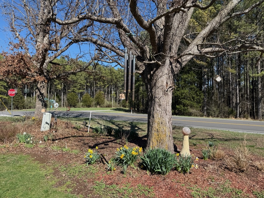 10915 Union Ridge Lane Marion, IL 62959 - Photo 6 of 12 a view of backyard with tree