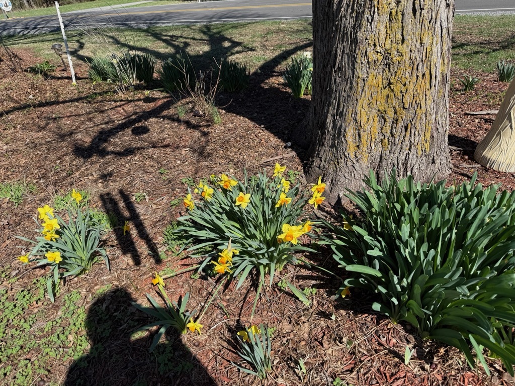 10915 Union Ridge Lane Marion, IL 62959 - Photo 7 of 12