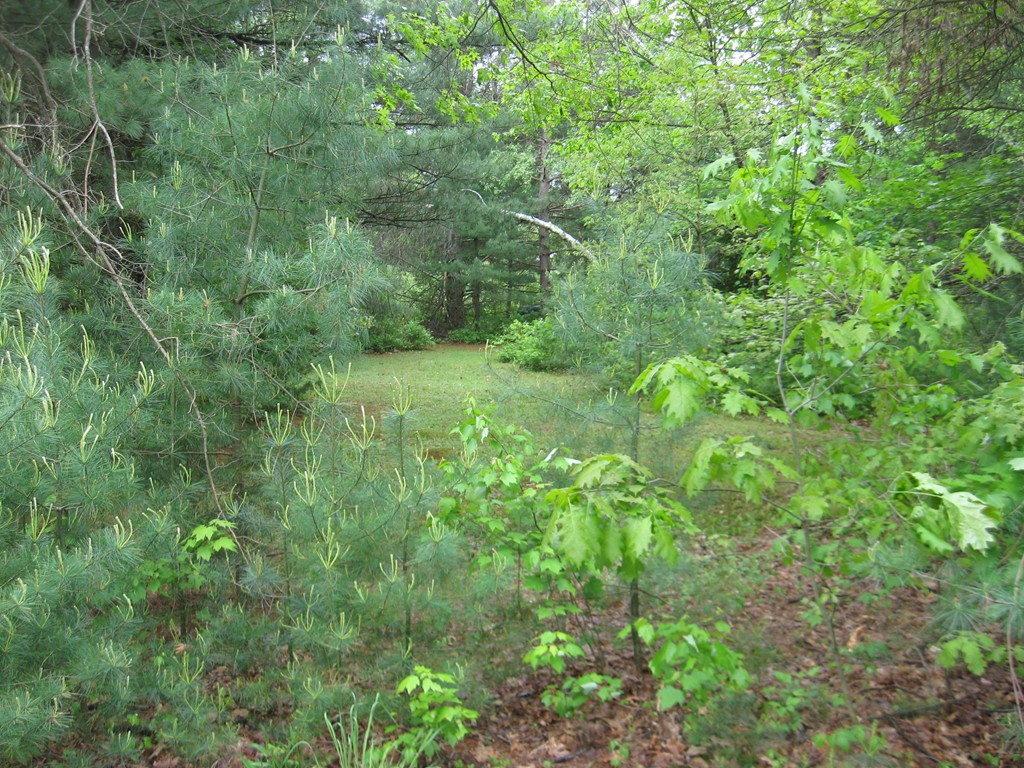 Lot 1 Greenwich Plains Road Ware, MA 01082 - Photo 1 of 1 Gallery Image 1