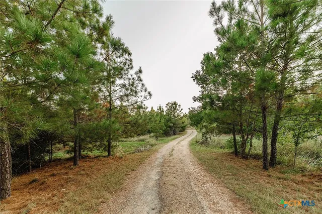 a view of a road with trees in the background