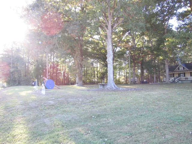 a view of a trees with a yard