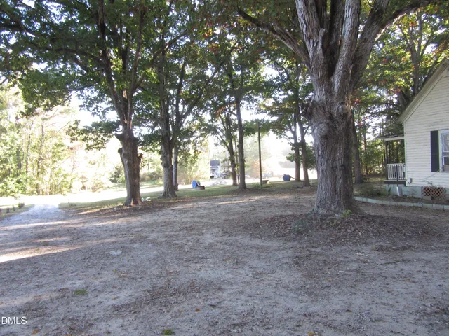 a view of a tree in the middle of a yard