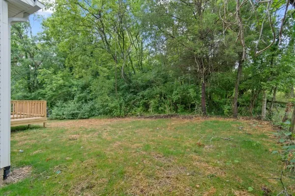 a view of a yard with a trees
