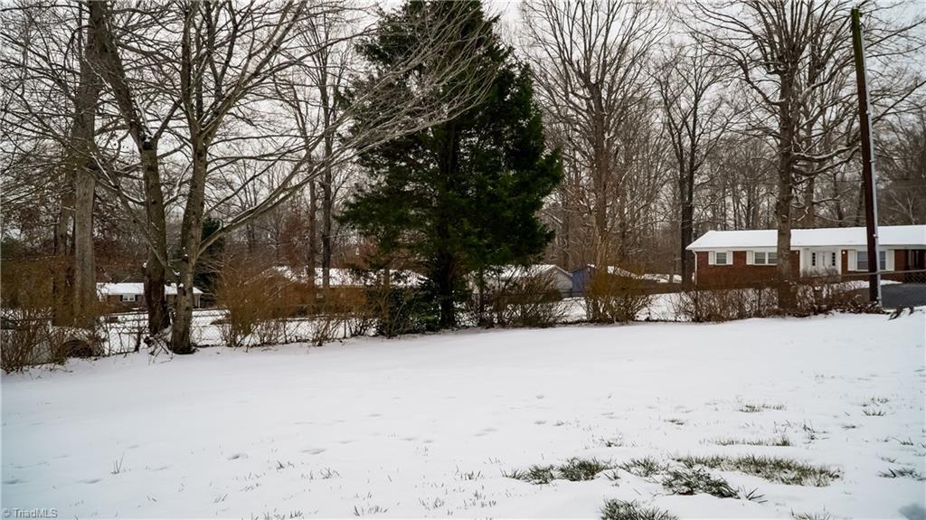 498 Salem Church Road Reidsville, NC 27320 - Photo 4 of 26