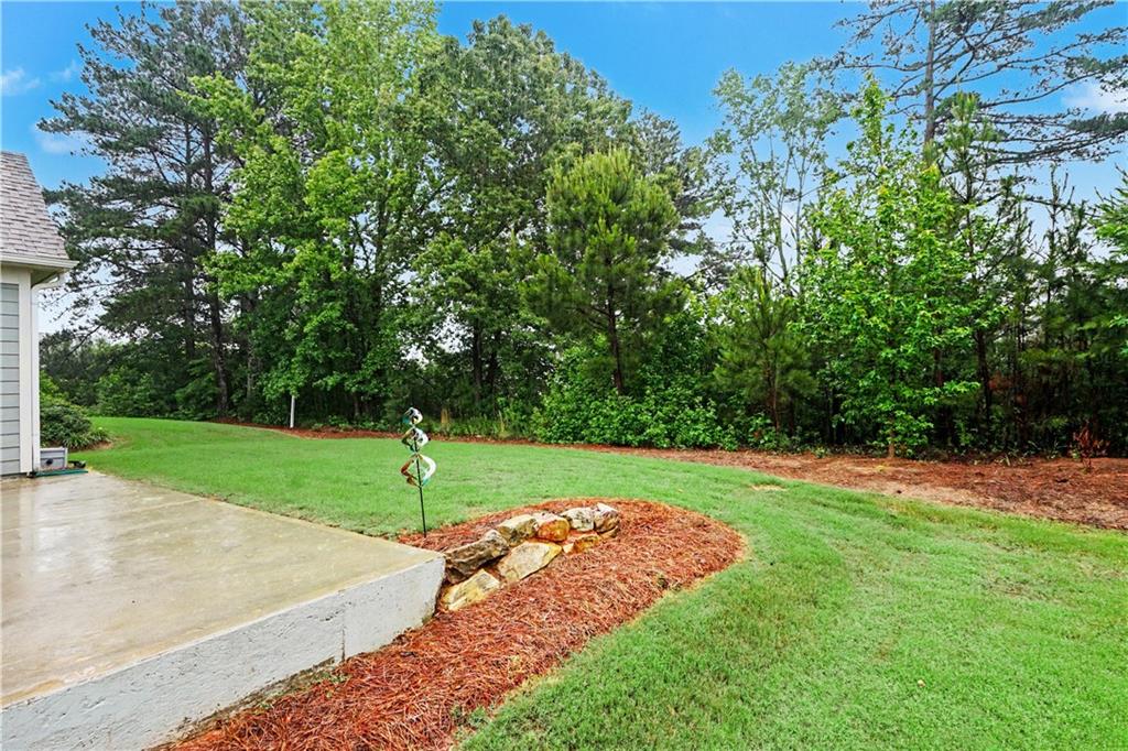 380 Falcon Way Hoschton, GA 30548 - Photo 31 of 33