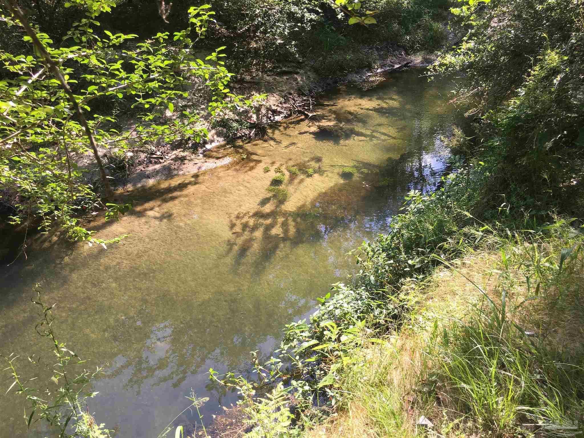 7007 Cassidy Road McDavid, FL 32568 - Photo 13 of 22 PINE BARREN CREEK RUNS THROUGH SOUTHEAST CORNER