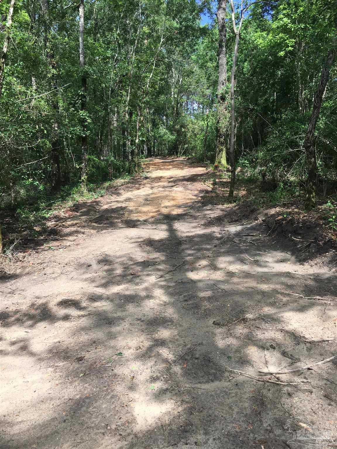 7007 Cassidy Road McDavid, FL 32568 - Photo 14 of 22 IMPROVED WALKING TRAILS ON PROPERTY