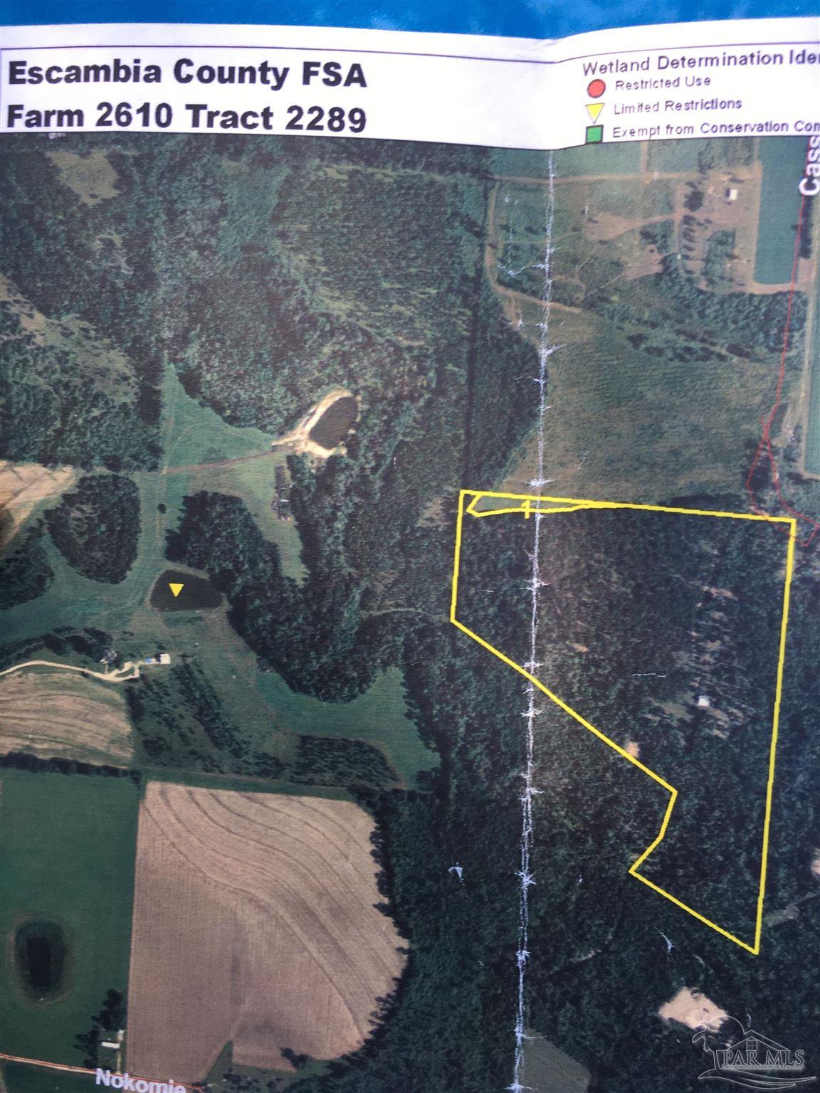 7007 Cassidy Road McDavid, FL 32568 - Photo 15 of 22 AERIAL WITH PROPERTY BOUNDARIES