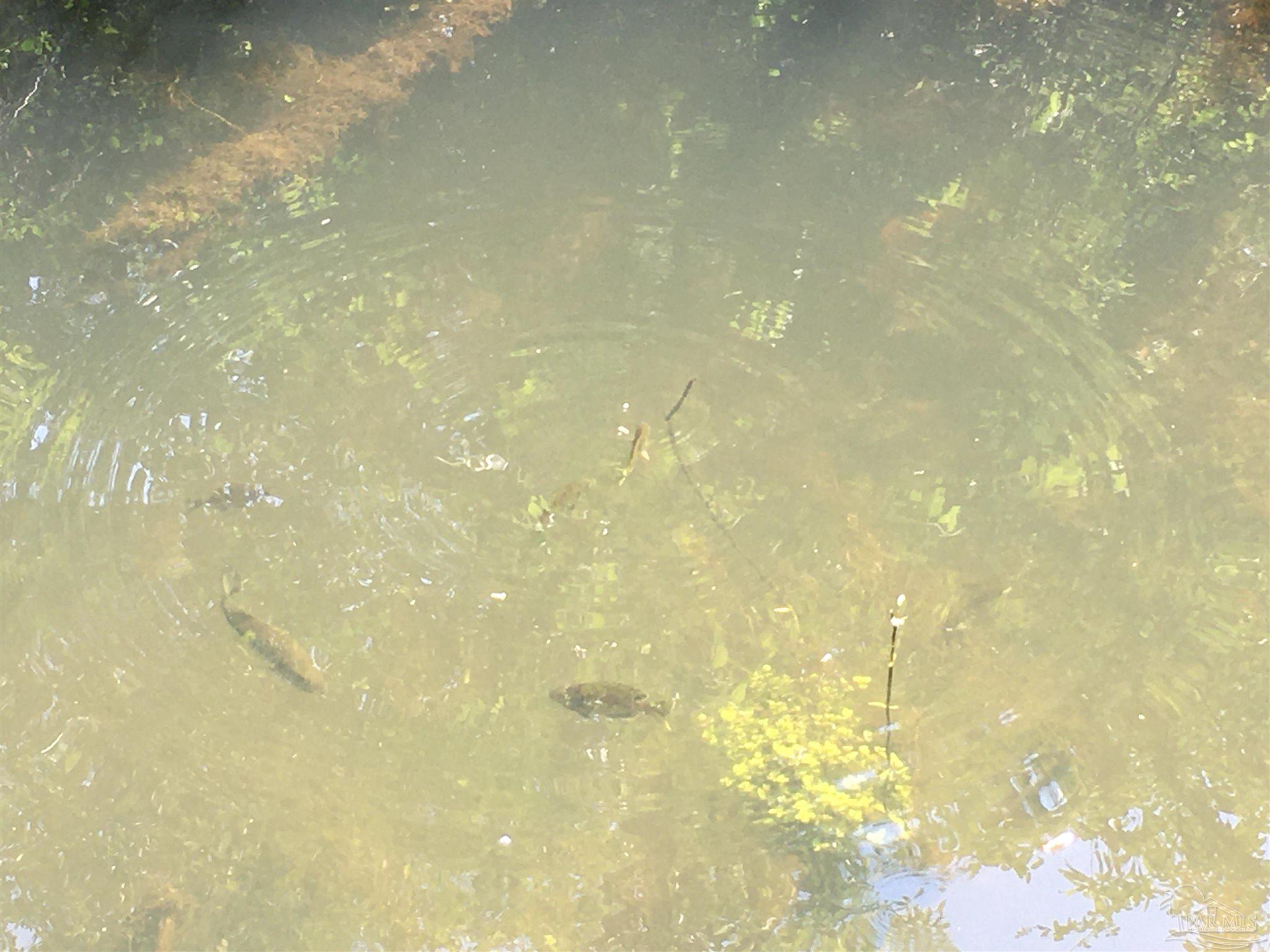 7007 Cassidy Road McDavid, FL 32568 - Photo 16 of 22 HOPE YOU ARE READY TO GO FISHING