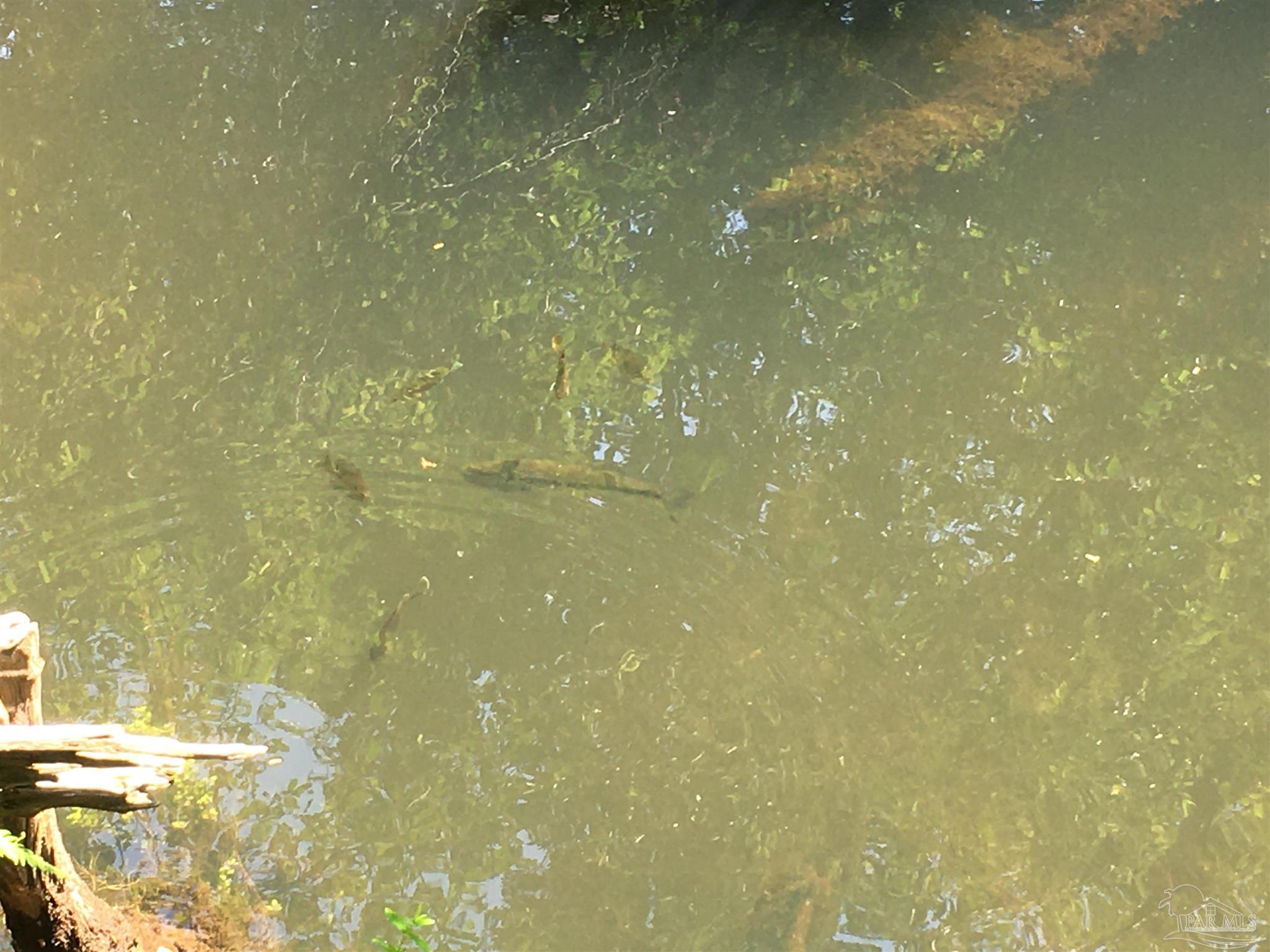 7007 Cassidy Road McDavid, FL 32568 - Photo 17 of 22