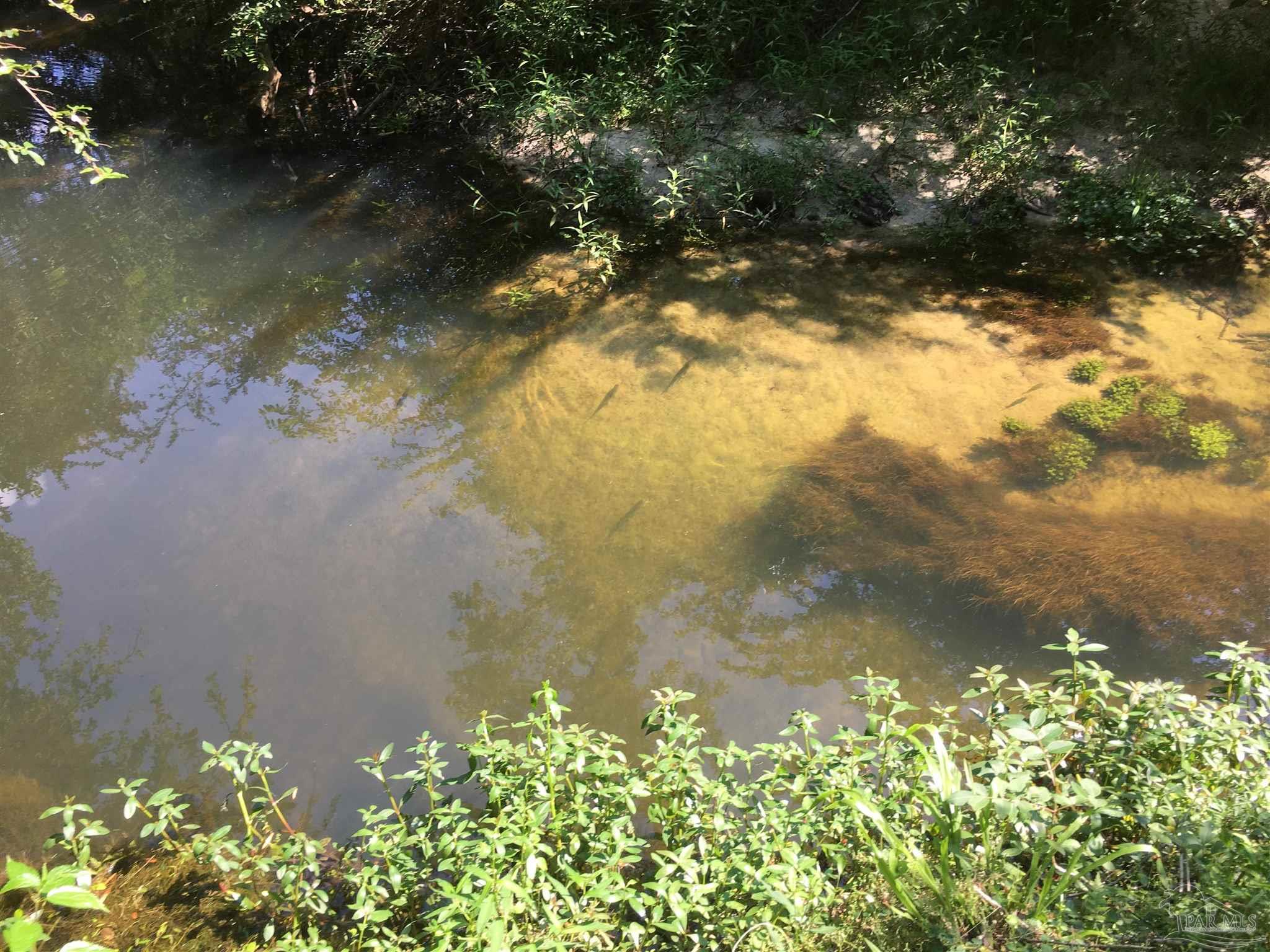 7007 Cassidy Road McDavid, FL 32568 - Photo 18 of 22