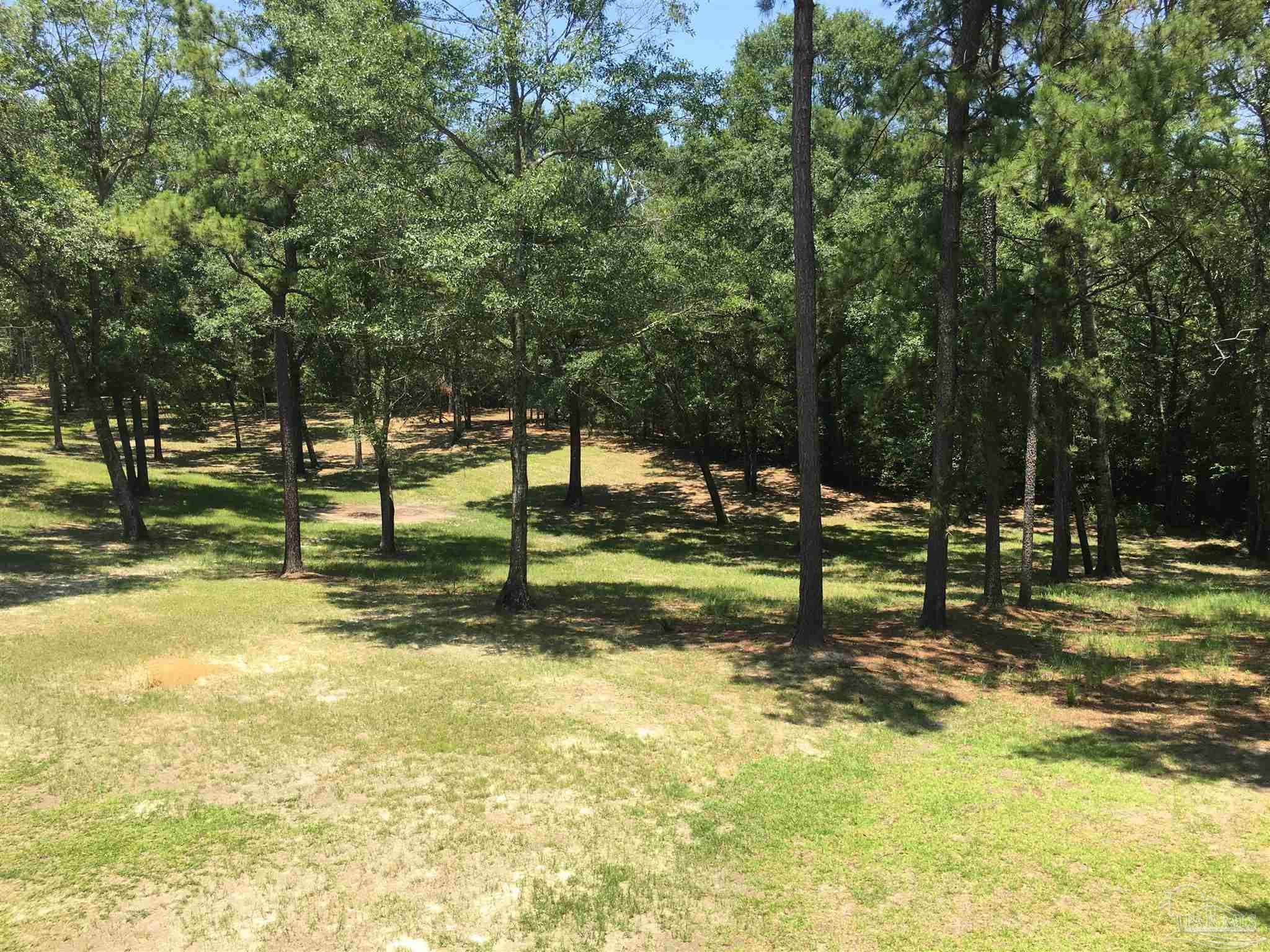 7007 Cassidy Road McDavid, FL 32568 - Photo 22 of 22