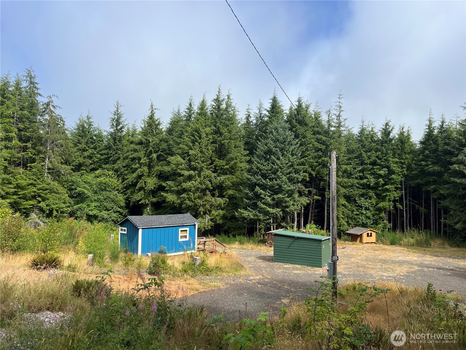 282 Copalis Beach Road Copalis Beach, WA 98535 - Photo 1 of 29 a view of a yard with plants and large trees