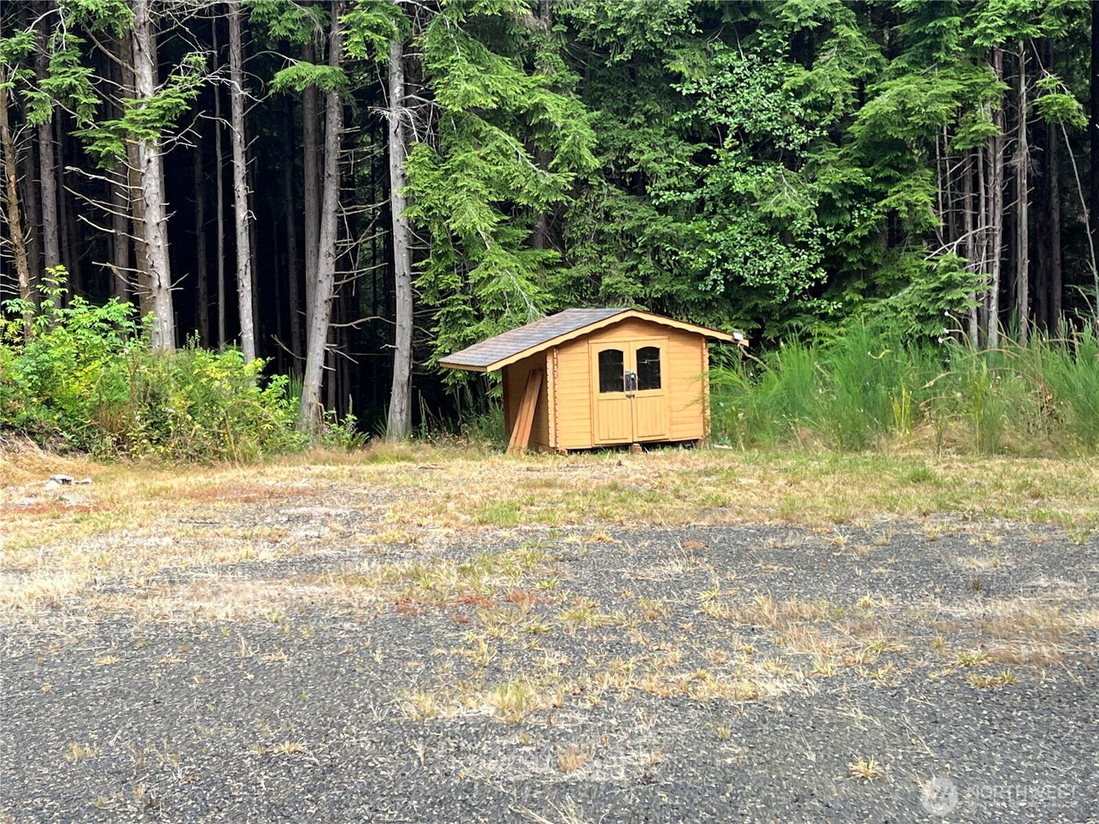 282 Copalis Beach Road Copalis Beach, WA 98535 - Photo 15 of 29 a house with trees in front of it