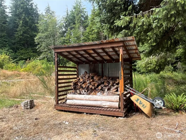 a view of a tree in a yard