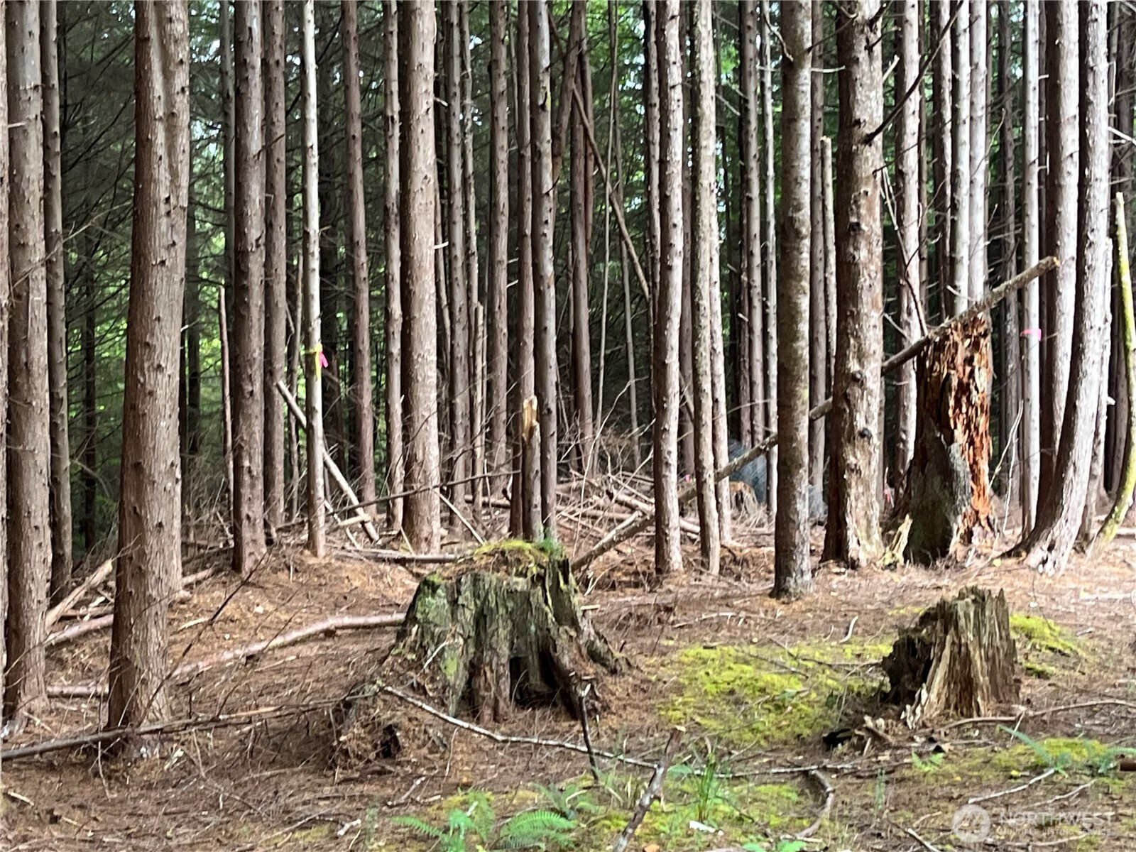 282 Copalis Beach Road Copalis Beach, WA 98535 - Photo 19 of 29 a view of swimming pool with chairs