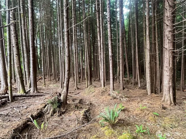 a view of outdoor space with trees