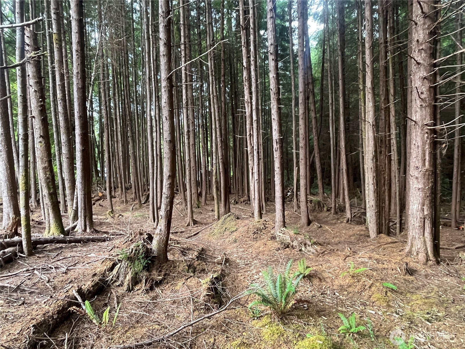 282 Copalis Beach Road Copalis Beach, WA 98535 - Photo 20 of 29