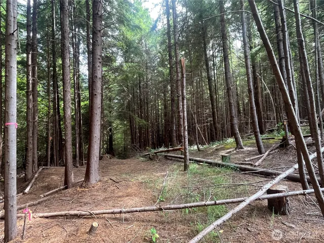 a view of outdoor space with garden