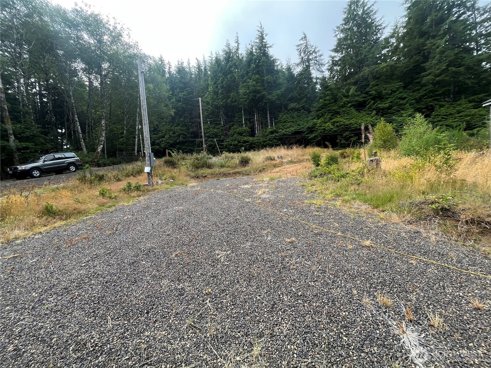 282 Copalis Beach Road Copalis Beach, WA 98535 - Photo 23 of 29 a view of outdoor space with trees