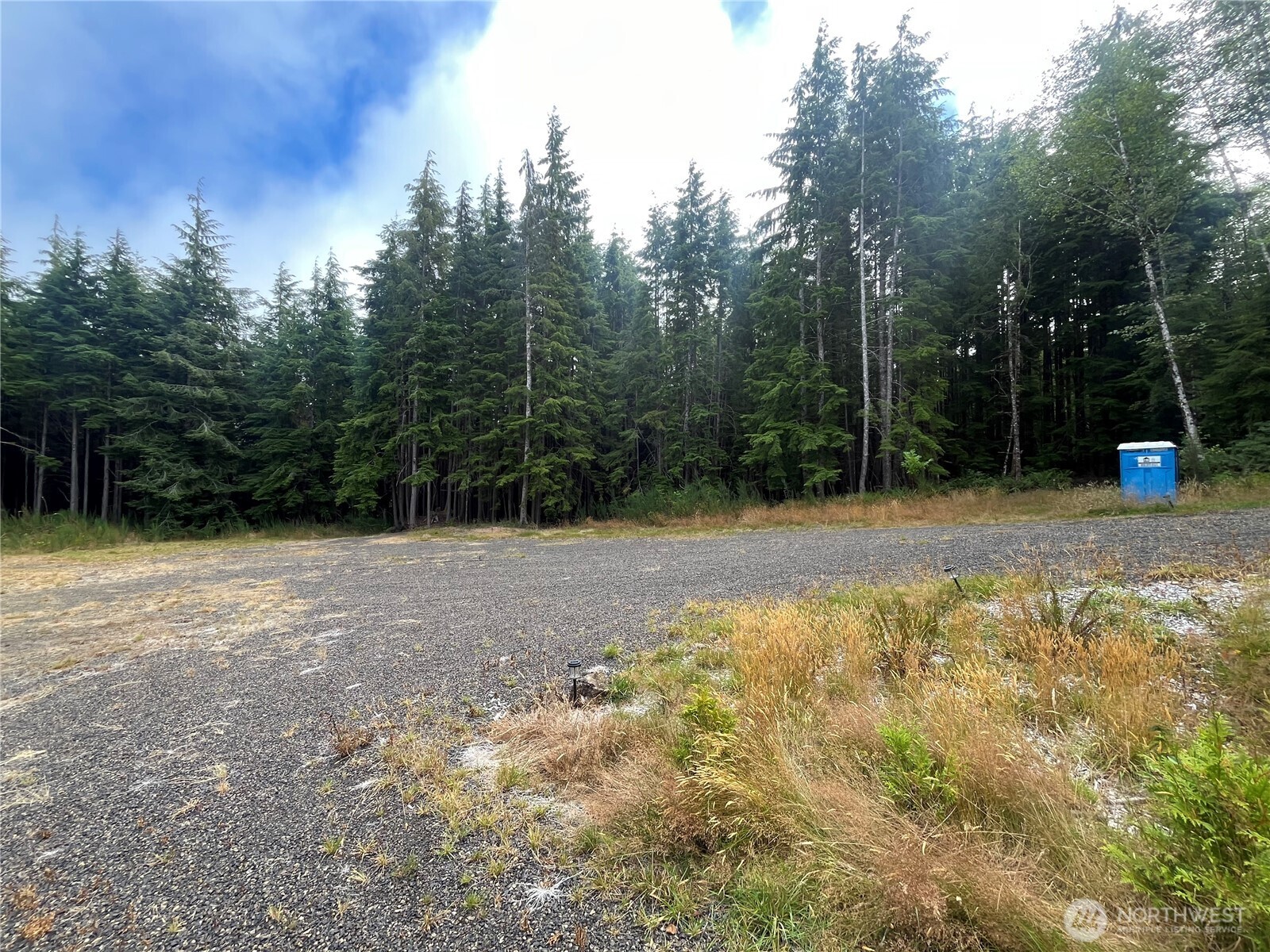 282 Copalis Beach Road Copalis Beach, WA 98535 - Photo 24 of 29 a view of outdoor space with trees