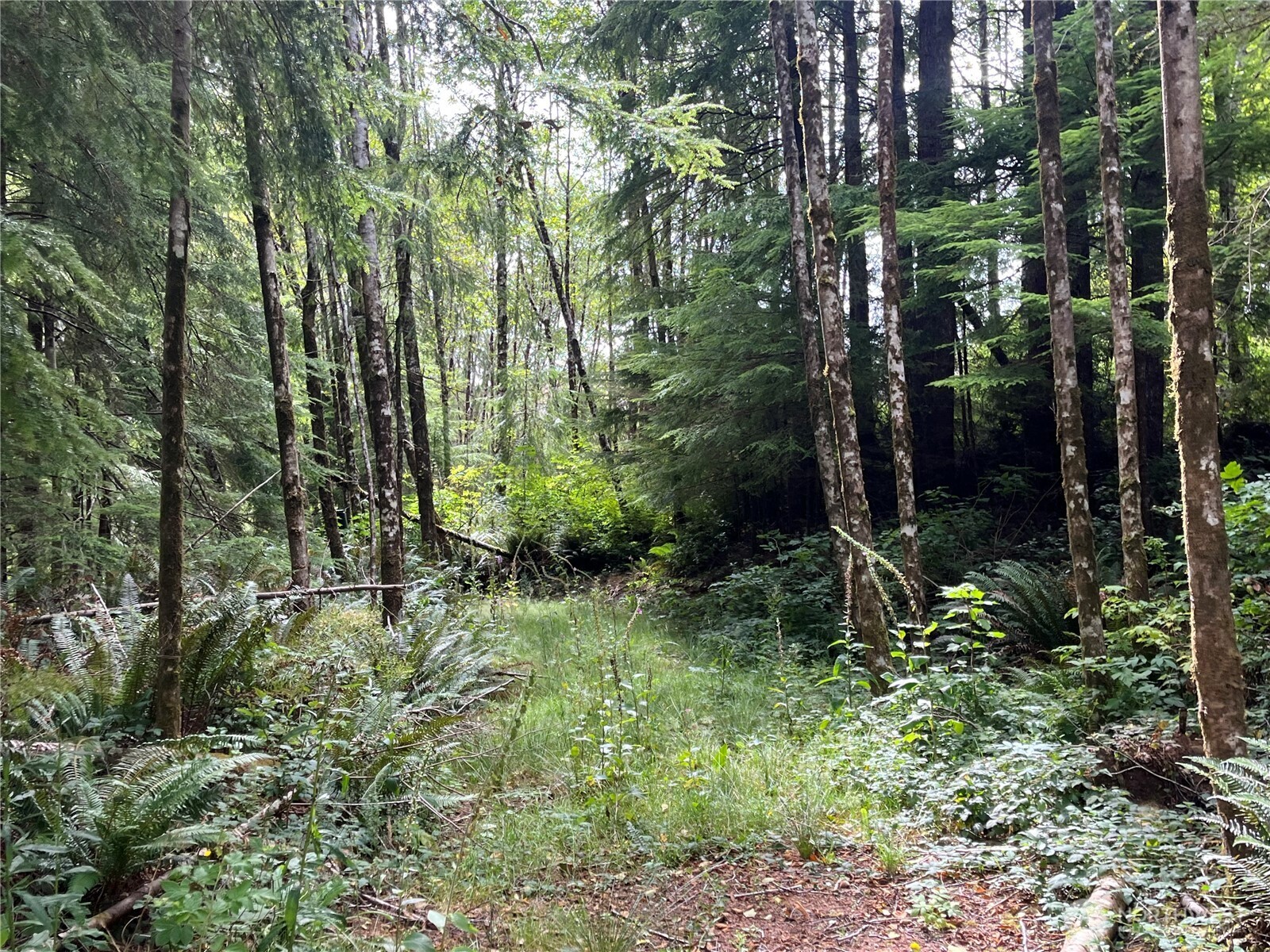 282 Copalis Beach Road Copalis Beach, WA 98535 - Photo 27 of 29 a view of a garden