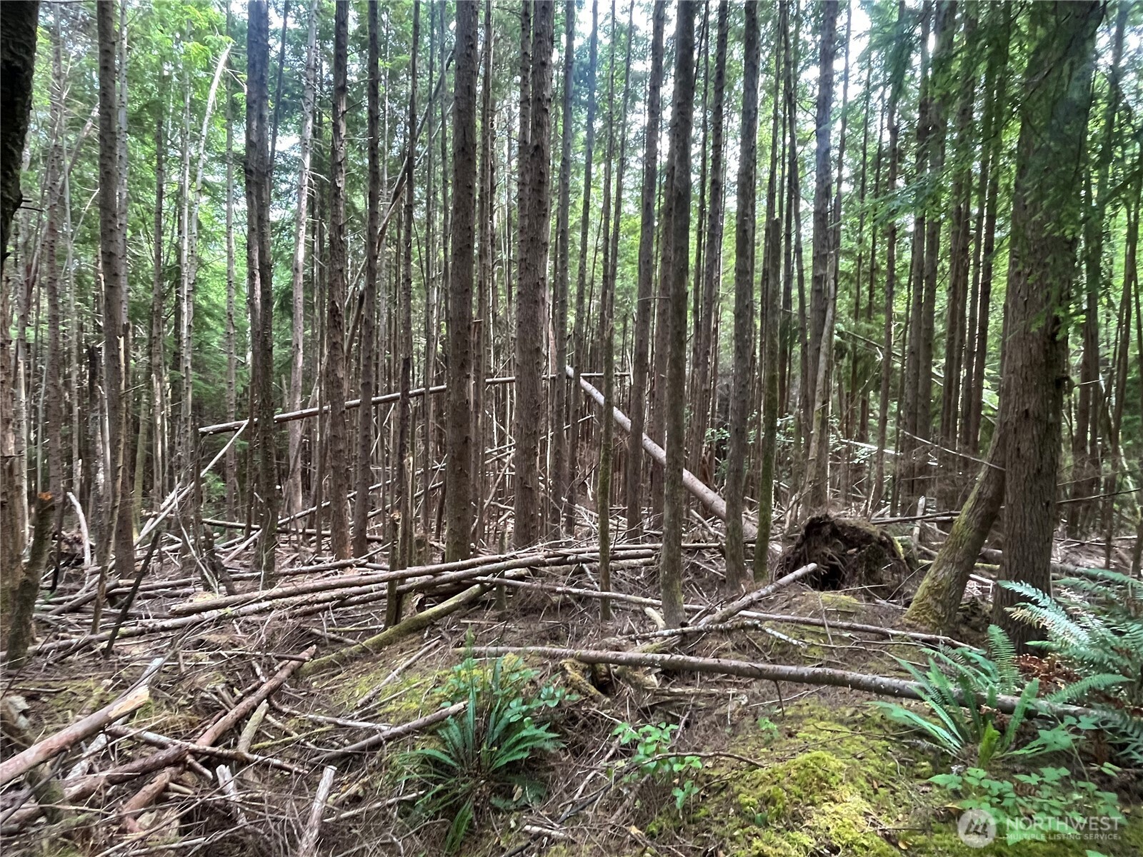 282 Copalis Beach Road Copalis Beach, WA 98535 - Photo 28 of 29 a view of an outdoor space with swimming pool