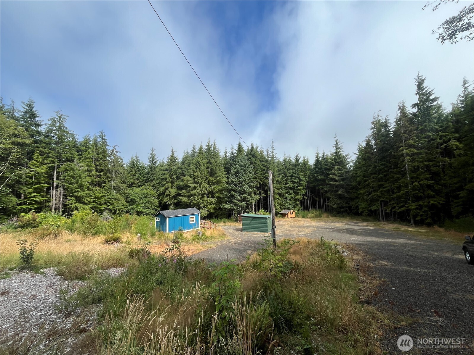 282 Copalis Beach Road Copalis Beach, WA 98535 - Photo 29 of 29 a view of a yard with trees