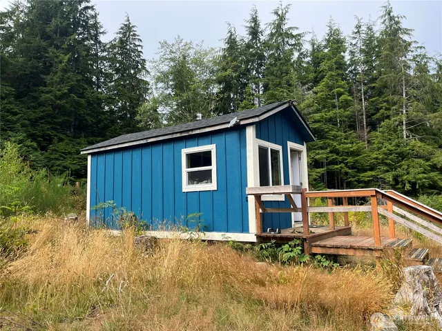 a view of backyard of house with trees