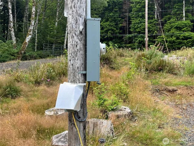 a view of a backyard of the house