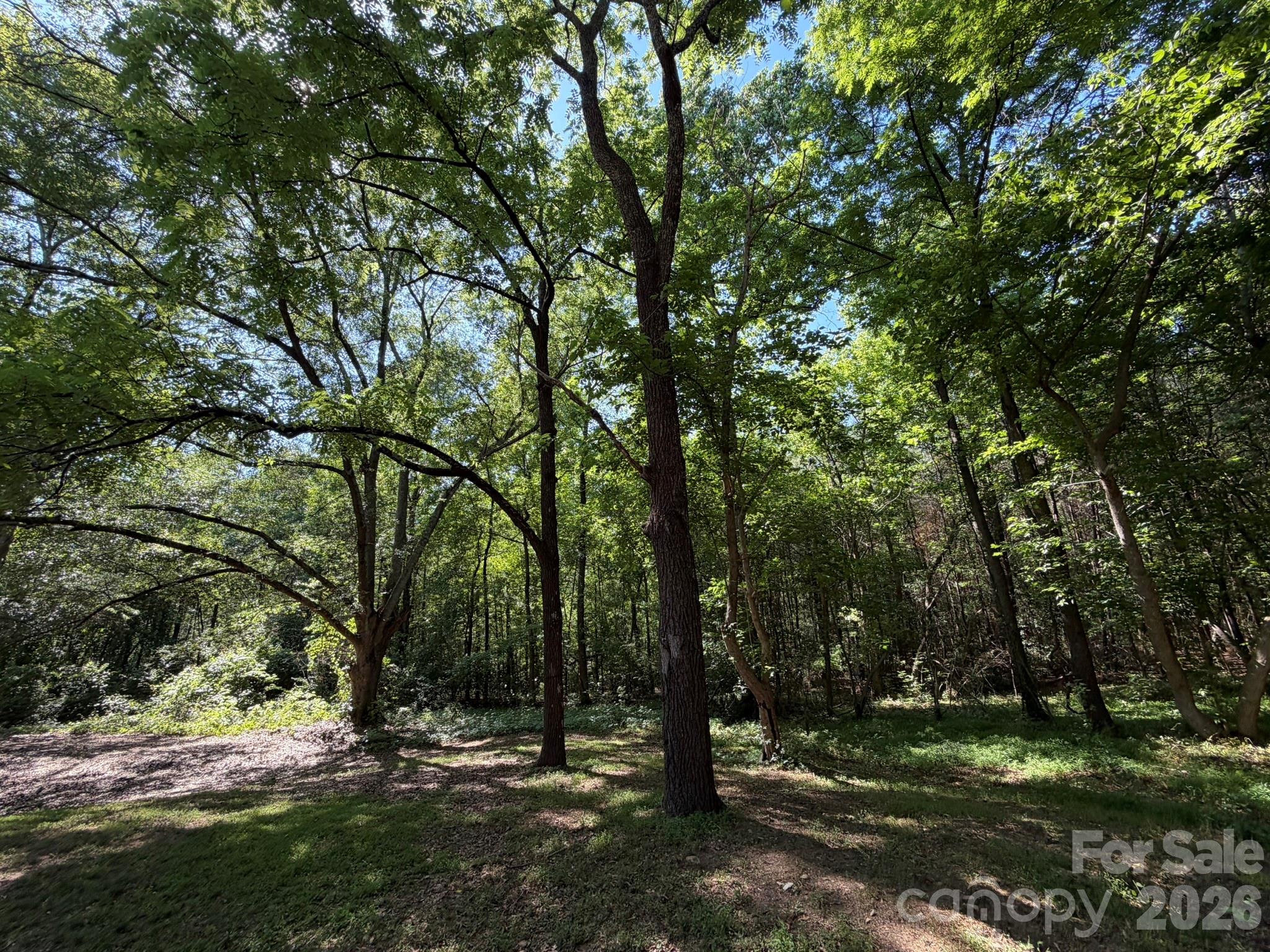 382 Alexis High Shoals Road Dallas, NC 28034 - Photo 39 of 43
