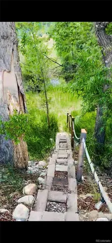 a view of a lush green space