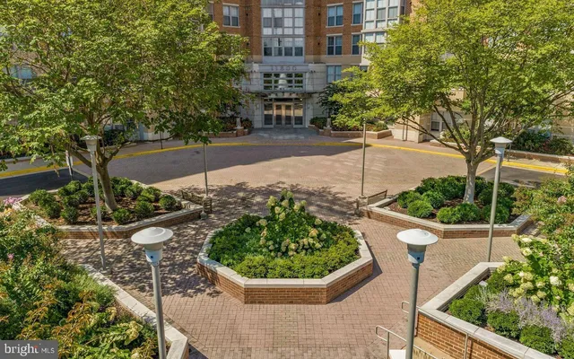 a view of a garden with plants