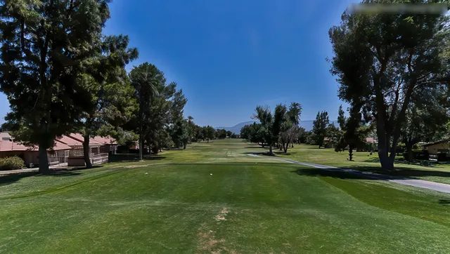 a view of a park with tree s