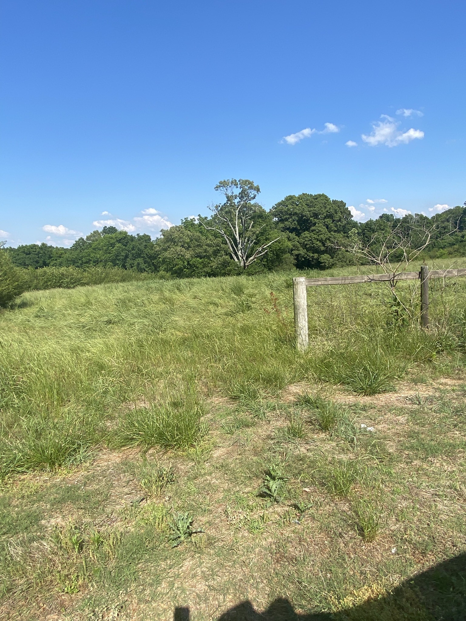 656 County Road Anderson, AL 35610 - Photo 9 of 15 a view of lake