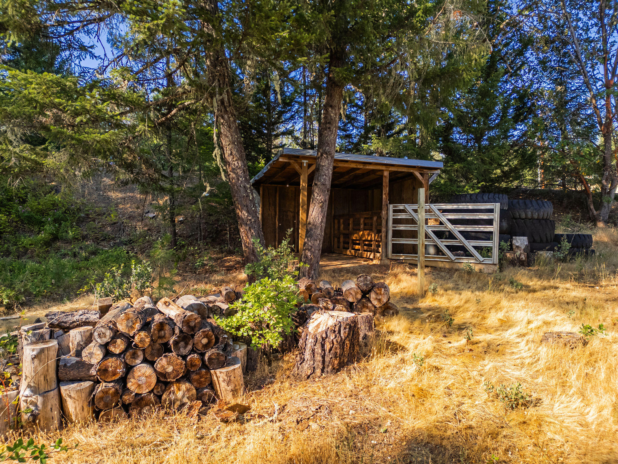 3611 Galice Road Merlin, OR 97532 - Photo 47 of 54 HD-21