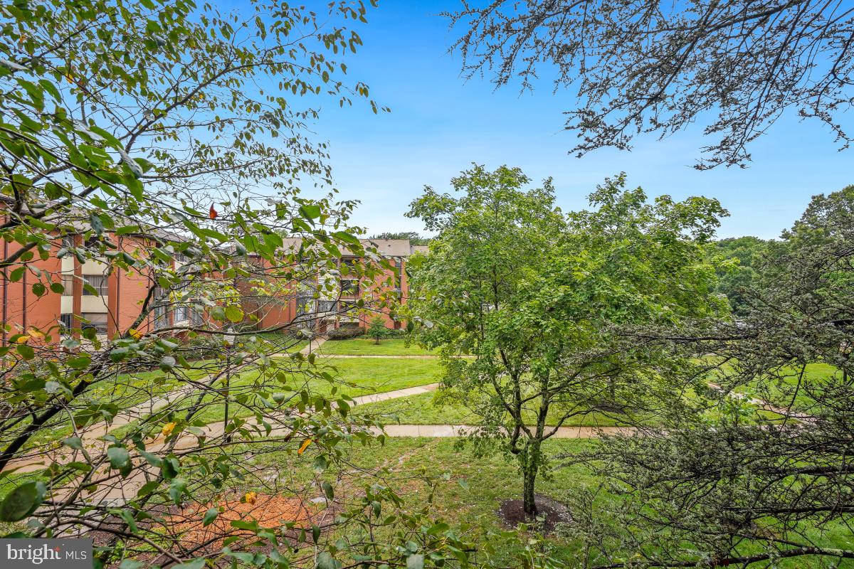 8007 Mandan Road, Unit 201 Greenbelt, MD 20770 - Photo 11 of 30